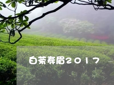 白茶寿眉2017/2023090856471