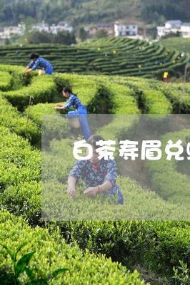 白茶寿眉兑蜂蜜可以喝吗/2023092484369