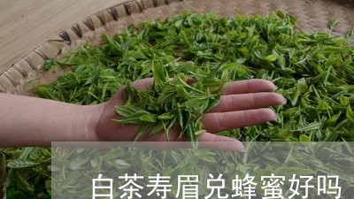 白茶寿眉兑蜂蜜好吗/2023120589394