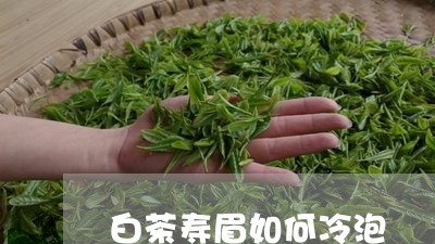 白茶寿眉如何冷泡/2023111682627