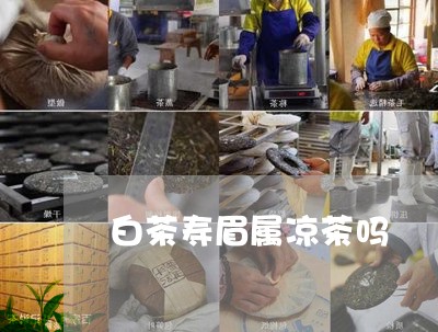 白茶寿眉属凉茶吗/2023090876250