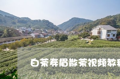 白茶寿眉散茶视频教程大全/2023111572816