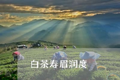 白茶寿眉润度/2023051940583