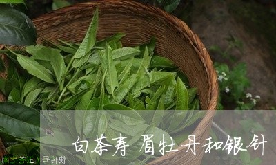 白茶寿眉牡丹和银针/2023120501671