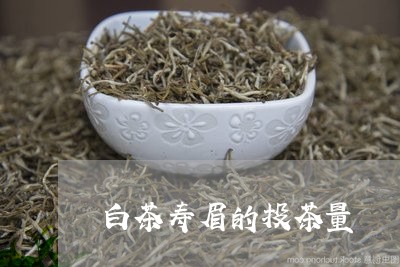 白茶寿眉的投茶量/2023090843726