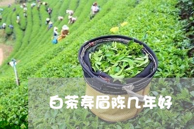 白茶寿眉陈几年好/2023090855958