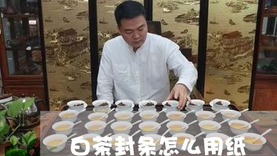 白茶封条怎么用纸/2023080286179