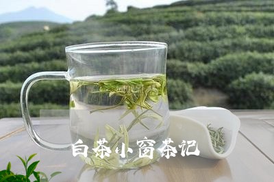 白茶小窗茶记/2023051984925