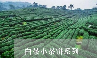 白茶小茶饼系列/2023111796928