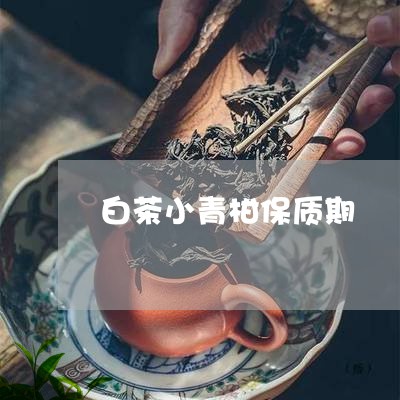 白茶小青柑保质期/2023080206263