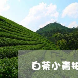 白茶小青柑茶叶图片/2023072391592