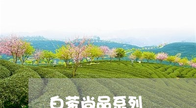 白茶尚品系列/2023051949582