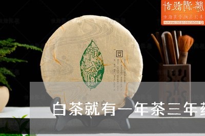 白茶就有一年茶三年药七年宝之说/2023111501705