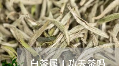 白茶属于功夫茶吗/2023080203948