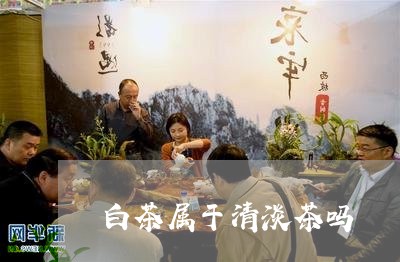 白茶属于清淡茶吗/2023080280692