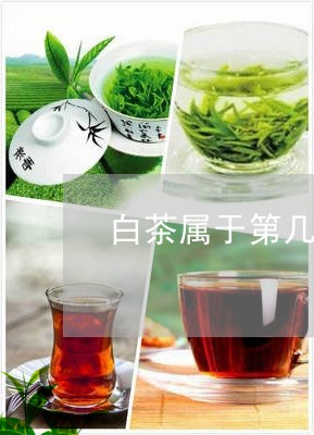 白茶属于第几种茶/2023080298161