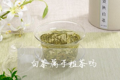 白茶属于粗茶吗/2023072355038