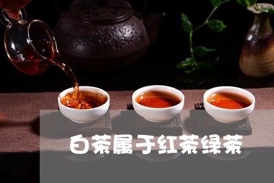 白茶属于红茶绿茶/2023080262693