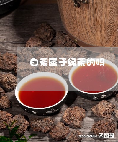 白茶属于绿茶的吗/2023080262827