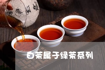 白茶属于绿茶系列/2023080216240