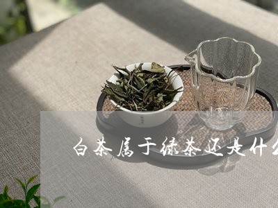 白茶属于绿茶还是什么茶类/2023110665838