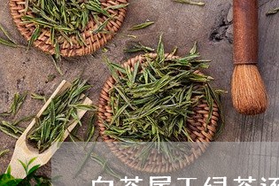 白茶属于绿茶还是什么茶系/2023110637380