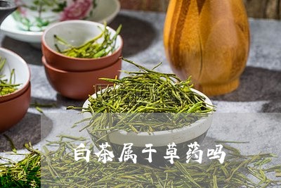 白茶属于草药吗/2023060417361