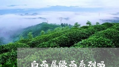 白茶属绿茶系列吗/2023080270625