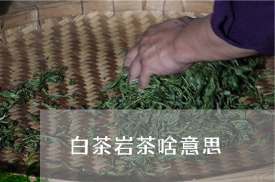 白茶岩茶啥意思/2023060492725