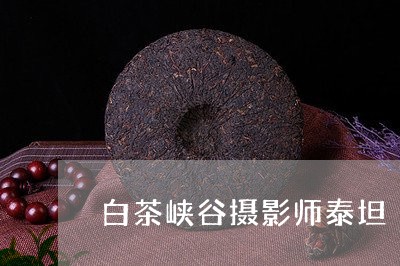 白茶峡谷摄影师泰坦/2023072352804