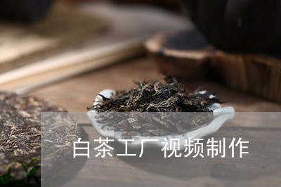 白茶工厂视频制作/2023080213047