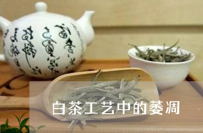 白茶工艺中的萎凋/2023080293848