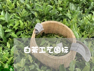 白茶工艺国标/2023051948471