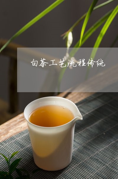 白茶工艺流程传统/2023080294049