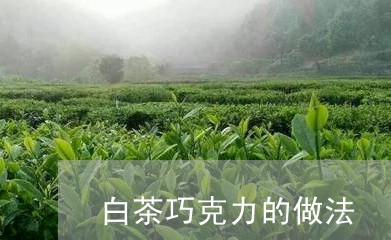 白茶巧克力的做法/2023080285737