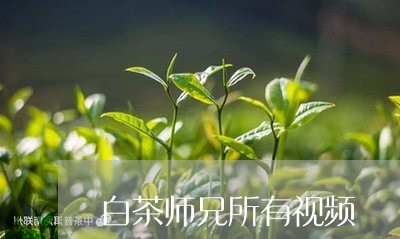 白茶师兄所有视频/2023080208472