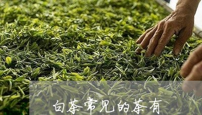 白茶常见的茶有/2023060459502