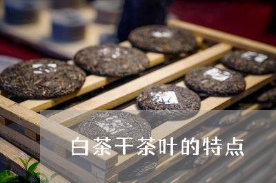 白茶干茶叶的特点/2023080224158