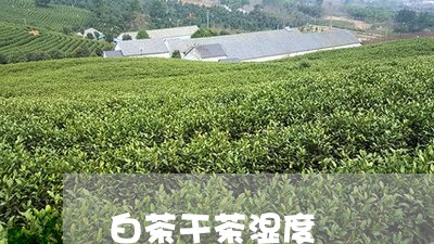 白茶干茶湿度/2023051963062