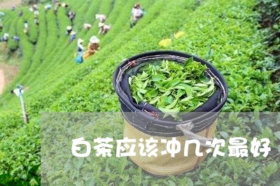 白茶应该冲几次最好/2023072339592