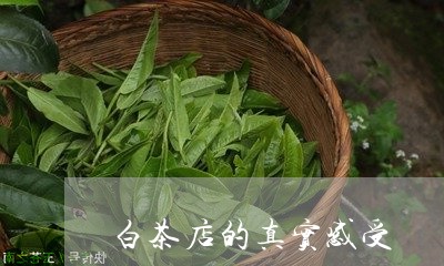 白茶店的真实感受/2023080219371