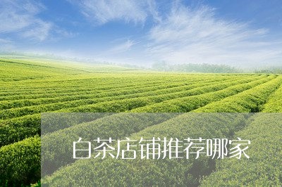 白茶店铺推荐哪家/2023080247358