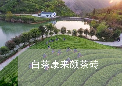 白茶康来颜茶砖/2023060467283