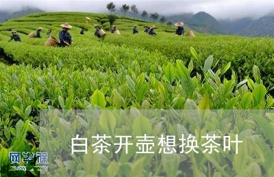 白茶开壶想换茶叶/2023080280626