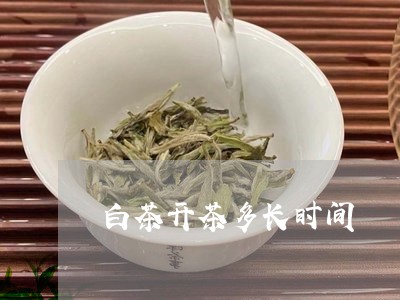 白茶开茶多长时间/2023080218470