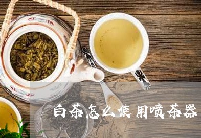 白茶怎么使用喷茶器/2023072352794