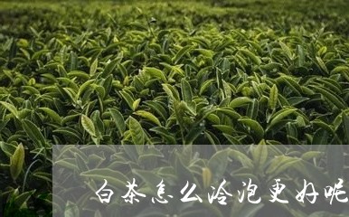 白茶怎么冷泡更好呢/2023072312935