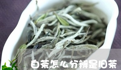 白茶怎么分辨是旧茶/2023072337482