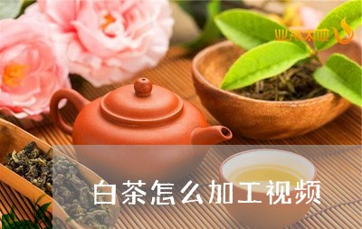 白茶怎么加工视频/2023080194938