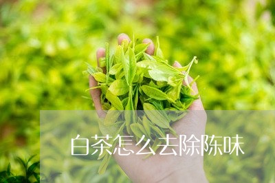 白茶怎么去除陈味/2023080196058